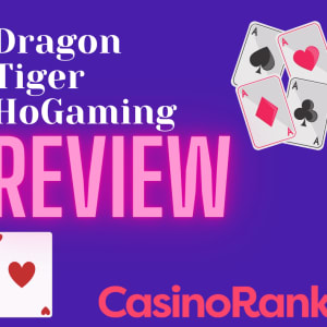 Dragon Tiger (HoGaming) Review